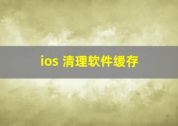 ios 清理软件缓存